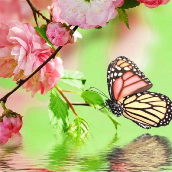 🧡💚Welcome to my closet! Cherie - Picture 4 of 16